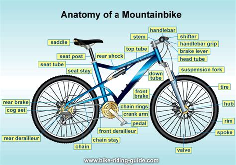For other cycling related terms (besides parts) see glossary of cycling. Bicycle Parts & Components - Watch This Bicycle Parts Diagram