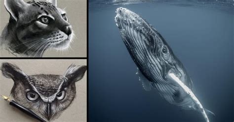 Realistic pencil drawing, toronto, ontario. Design Stack: A Blog about Art, Design and Architecture ...