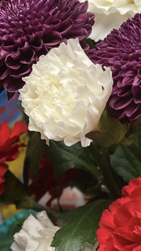 Listings of several flower types and colours with their meanings, ie: White Carnations Mini | Carnation | Mini Carnation ...