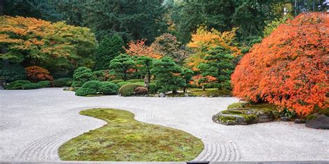 Fall Colors Update November 2 2018 Portland Japanese