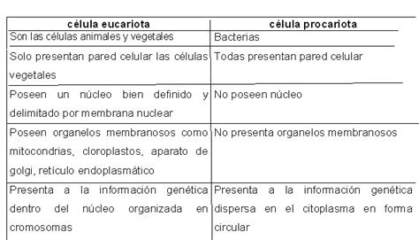 Cuadros Comparativos Entre Célula Procariota Y Eucariota Cuadro