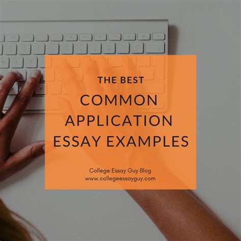 I am going to be the contrarian. The Best Common App Essay Examples | Common app essay ...