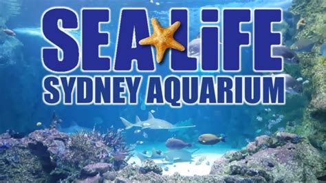 Sydney Sea Life Aquarium Youtube