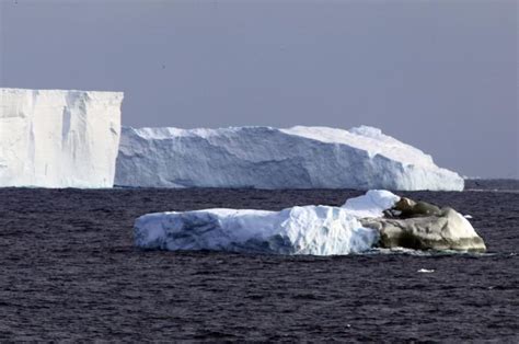 Iceberg City Ice Stories Dispatches From Polar Scientists