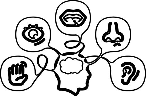 See, smell, hear, taste and touch. 5 Senses Coloring Pages | Free download on ClipArtMag