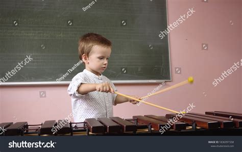 Little Boy Plays Xylophone Music Classa Stock Photo 1836991558