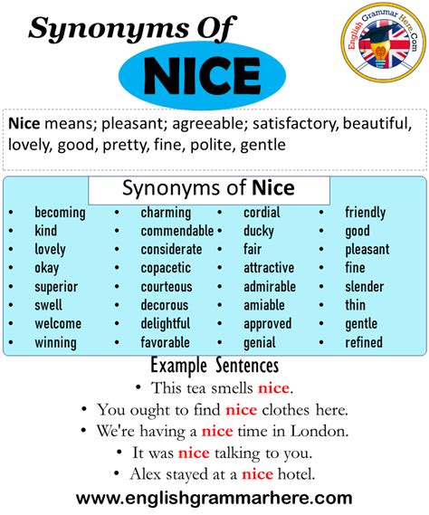 Synonyms Of Nice, Nice Synonyms Words List, Meaning and ...