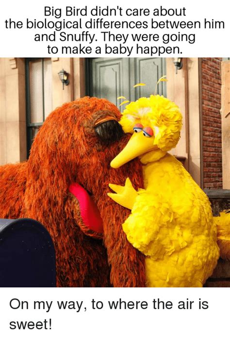 Big Bird We Ride At Dawn Meme Kids