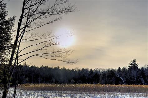 The Golden Hour Berkshire Swamp Photograph By Geoffrey Coelho Fine
