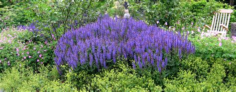 Der mai hat nur noch wenige tage und im garten findet sich kein plätzchen freie erde und bienen, schmetterlinge und libellen schwirren um meinen gartenstuhl. Gartenplanung Nitschke · Pflanzen im Garten