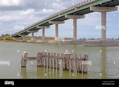Hindmarsh Island Bridge Over The Murray River At Goolwa Stock Photo Alamy