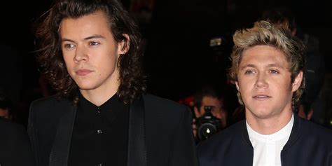 Harry Styles Jokes He Wants To Sit On One Direction Bandmate Niall