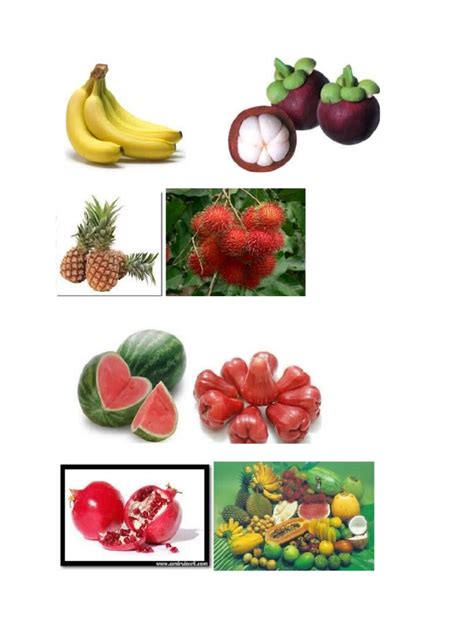 Buah buahan tempatan dalam bakul traffic club. Gambar Buah Buahan Tempatan Untuk Diwarnai - Gambar Buah ...