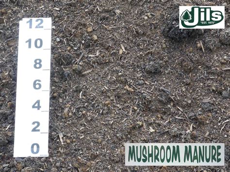 • the ph scales ranges from 0 to 14, where 7 is neutral, below 7 is acidic, and above 7 is alkaline or. Chicken Manure Edmonton | Cromalinsupport