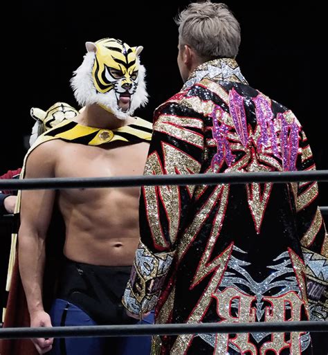 Njpw Daily Tiger Mask Njpw Fictional Characters