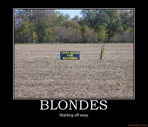 Blondes Blondes Dump Maze Starting Easy Demotivational Poster 1255977969 J Blonde Jokes