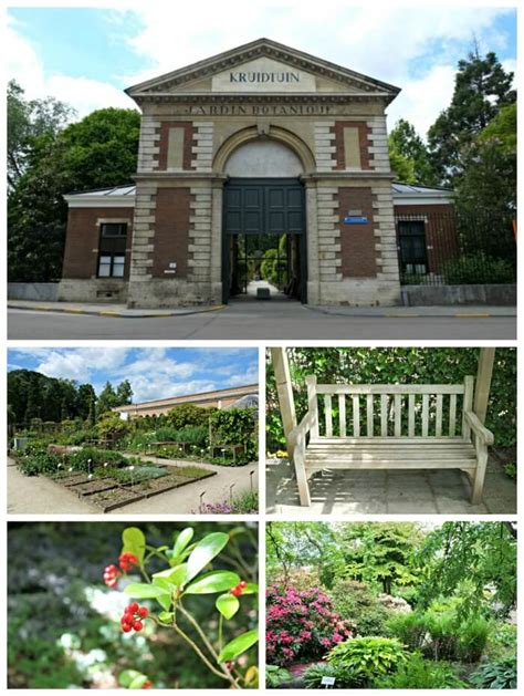 Kruidtuin Botanische Tuin Leuven Is Het De Moeite Waard Om Te Bezoeken