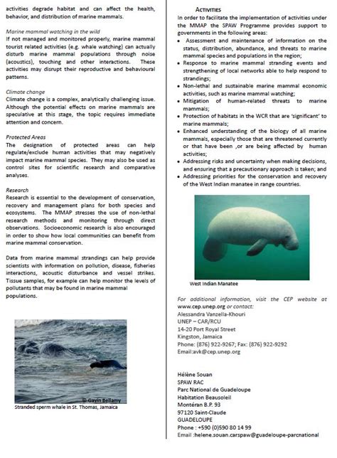 Marine Mammal Factsheet The Caribbean Environment Programme Cep