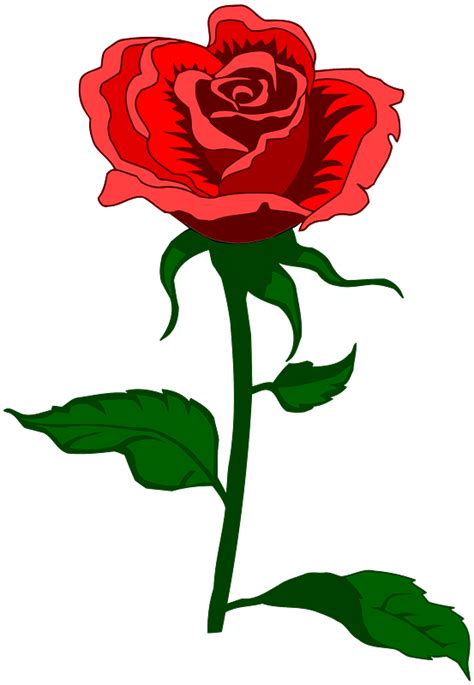 Red Rose On The Stem Clipart Free Download Transparent PNG Creazilla