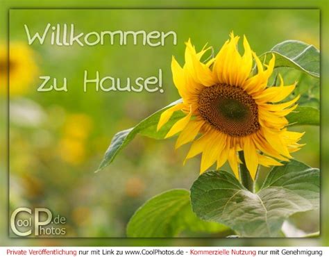 Willkommen zu hause/ zuhause. because now you are at home, you're not only on the way to home which would be ich gehe nach hause. willkommen zu hause. CoolPhotos.de - Willkommen - Willkommen zu Hause!