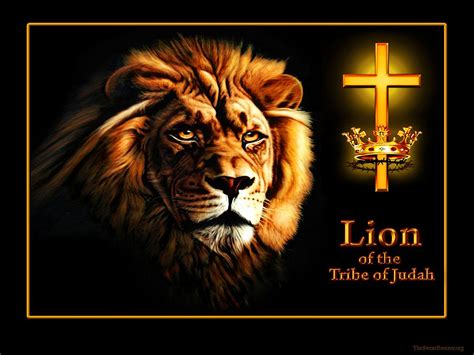Lion Of The Tribe Of Judah Wallpapers Wallpaper Cave