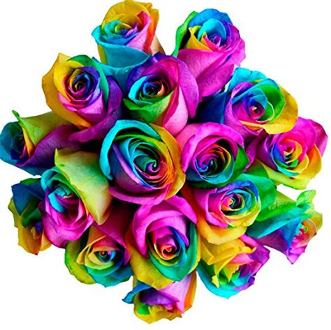 Fresh Rainbow Roses Bouquet By Flower Explosion 36 Stems Buy Online