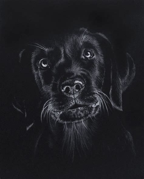 See more ideas about drawings, easy drawings, drawing lessons. Drawing on black paper | Black paper drawing, Black canvas ...