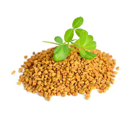Are you looking how to make your hair healthy with fenugreek seeds, here are some natural tips for hair growth by using fenugreek seeds. Fenugreek powder (Methi) - Love My Hair