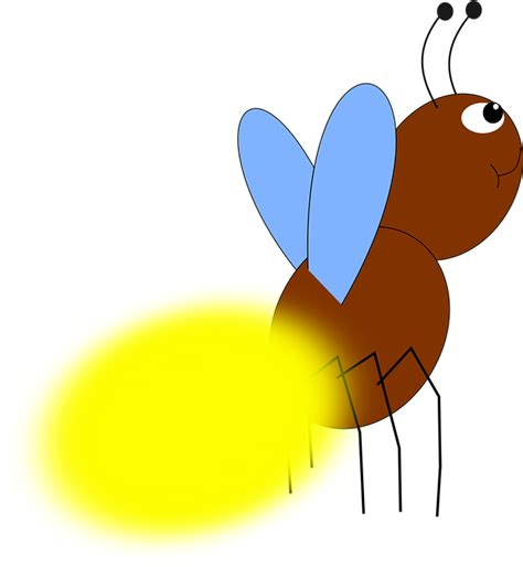 Firefly Clipart Yellow Firefly Clipart Png 1168x1280 Png Clipart
