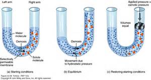 Check spelling or type a new query. Cell Physiology II (Chapter 3) at University of Northern ...