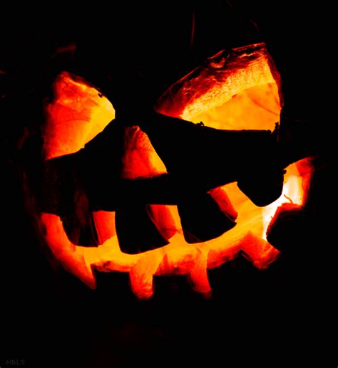 Great Happy Halloween Animated Pumpkin Gifs You Will Love Best Animations Halloween Gif