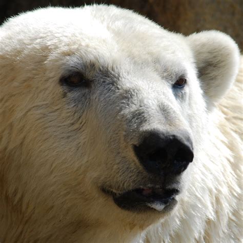 A Chance To Win An Explore The Animal Kingdom (Universal) Promo Code