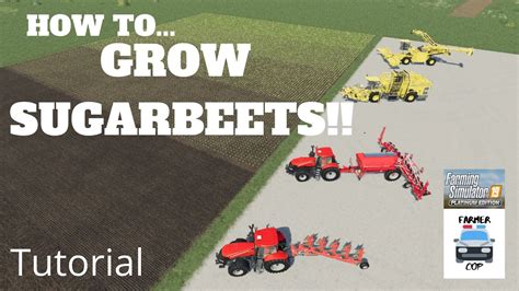 How To Grow Sugarbeets In Farming Simulator 19 Youtube