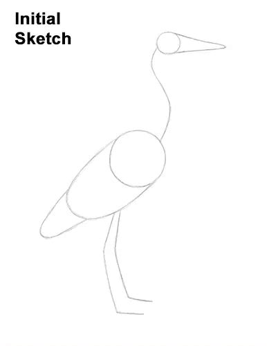 How To Draw A Great Blue Heron Video And Step By Step Pictures