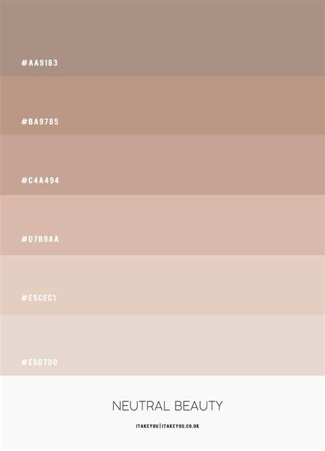 Neutral Color Scheme ColourPalette 49 Nude Color Palette Color