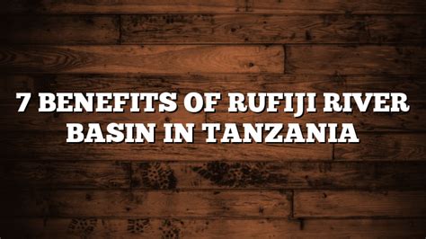 7 Benefits Of Rufiji River Basin In Tanzania