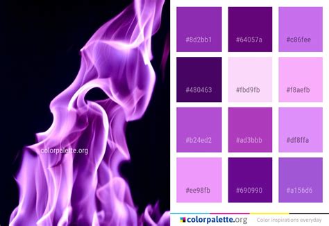 Violet Purple Pink Color Palette Colors Inspiration Graphics Design