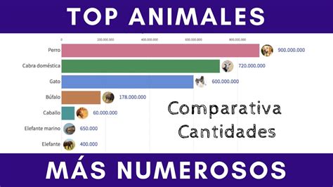 Animales Más Numerosos Del Mundo Comparativa Ranking De Cantidades