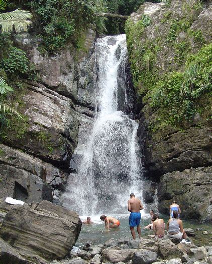 Bosque Nacional El Yunque Río Grande Puerto Rico Descubra Puerto Rico