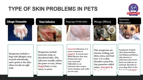 What Are Skin Lesions On Dogs