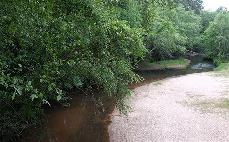 Maybe you would like to learn more about one of these? Lake Houston Wilderness Park - DearTexas,