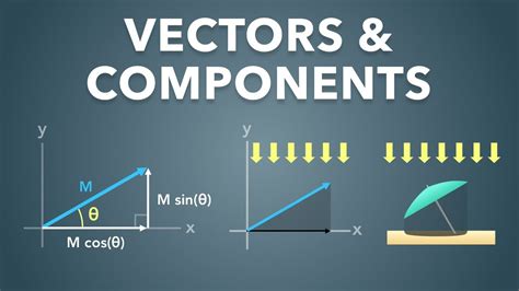 Vectors And How To Find Components Physics Basics Youtube