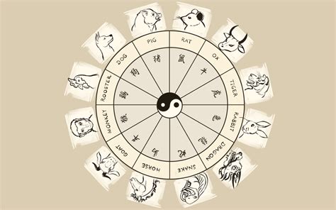 Chinese Astrology Zodiac Animal Signs And Their Meanings Exemplore