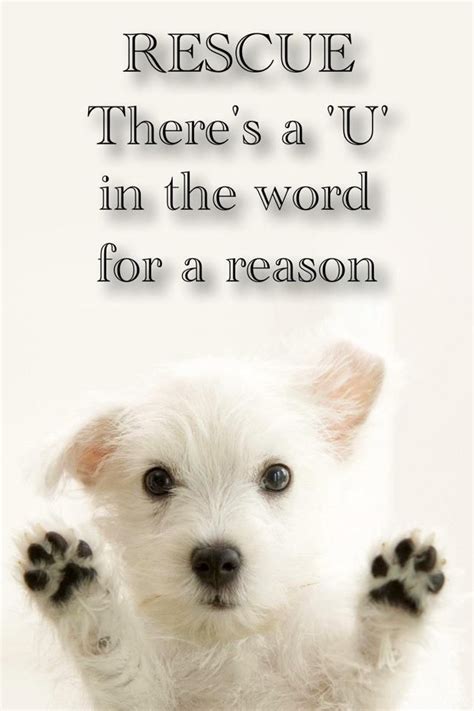 Rescue Dog Quotes Animals Friends I Love Dogs