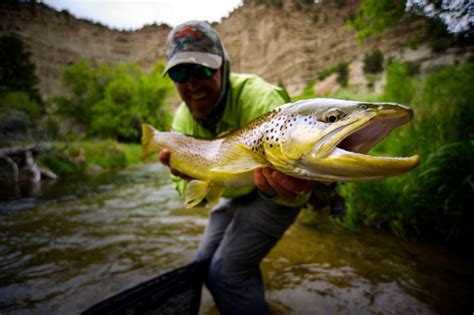Fly Fishing Utah Everything You Need To Know Flylords Mag