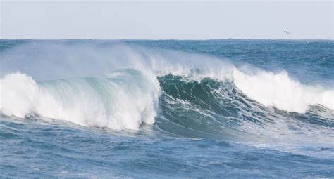 Badan meteorologi, klimatologi, dan geofisika (bmkg) maritim teluk bayur mengeluarkan peringatan gelombang tinggi di beberapa wilayah perairan sumater. BMKG Maritim: Waspadai Gelombang Tinggi Hingga 2,5 Meter di Perairan Sumbar | Langgam.id