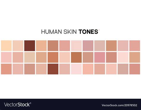 Skin Tone Color Chart Human Skin Texture Color Vector