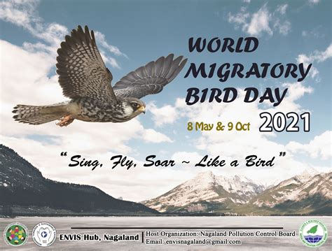 World Migratory Bird Day 8 May And 9 Oct 2021 Nagaland Pollution