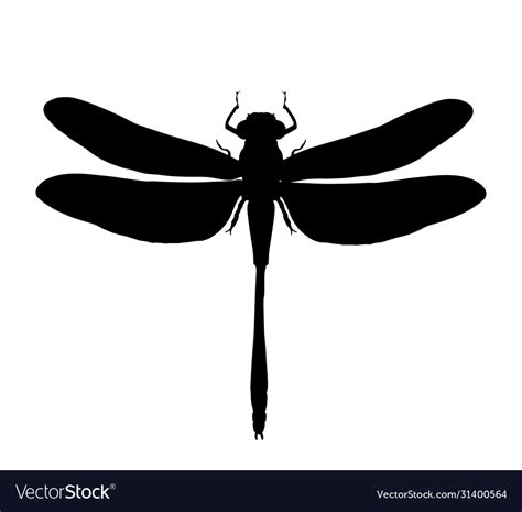 Dragonfly Silhouette Isolated Royalty Free Vector Image