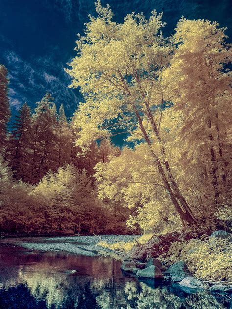 Reflections On Bull Creek Photograph By Greg Nyquist Fine Art America